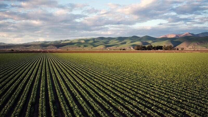 Servicios agricolas