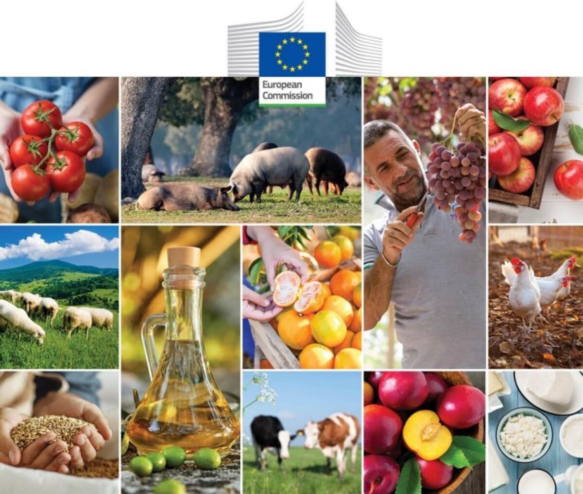 Resumen informe perspectivas agrícolas UE 2024-35