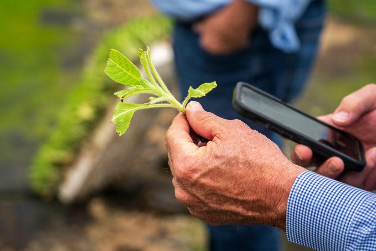 Agricultor rellenando el cuaderno digital