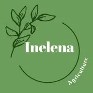 Inelena