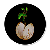 Pistachos JR