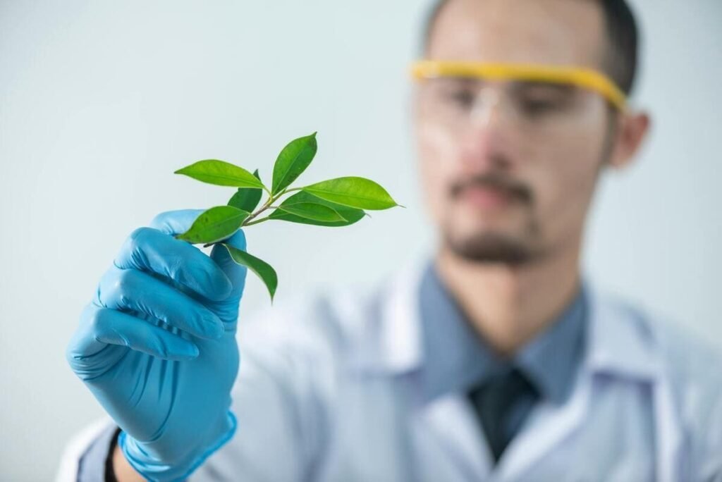 Investigacion y formacion en agricultura