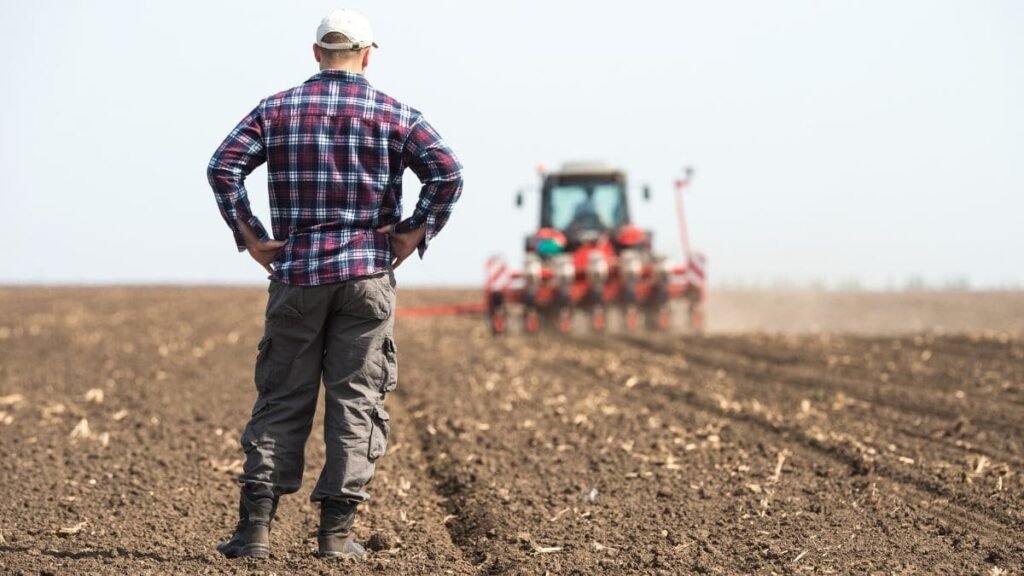 Joven agricultor observando su explotación