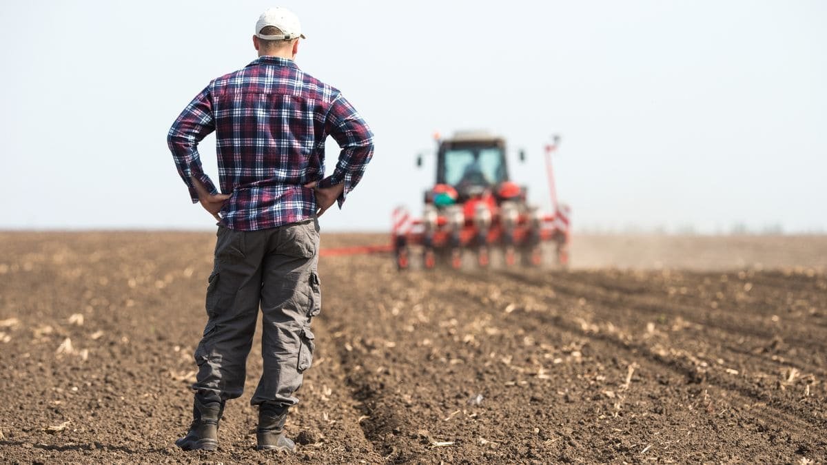 Joven agricultor observando su explotación
