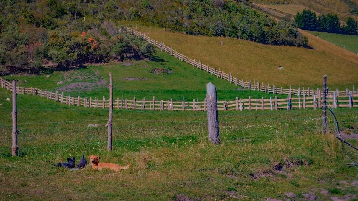 Paisaje agrario