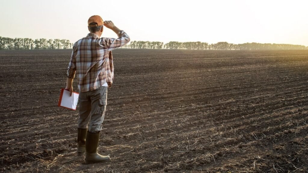 La planificación agrícola como clave de exito