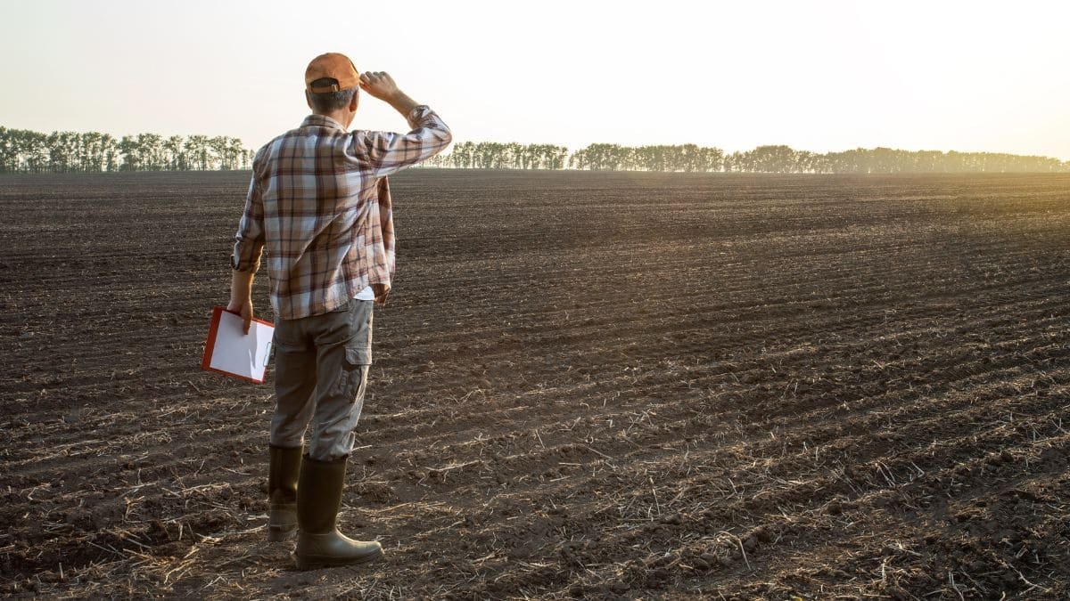 La planificación agrícola como clave de exito