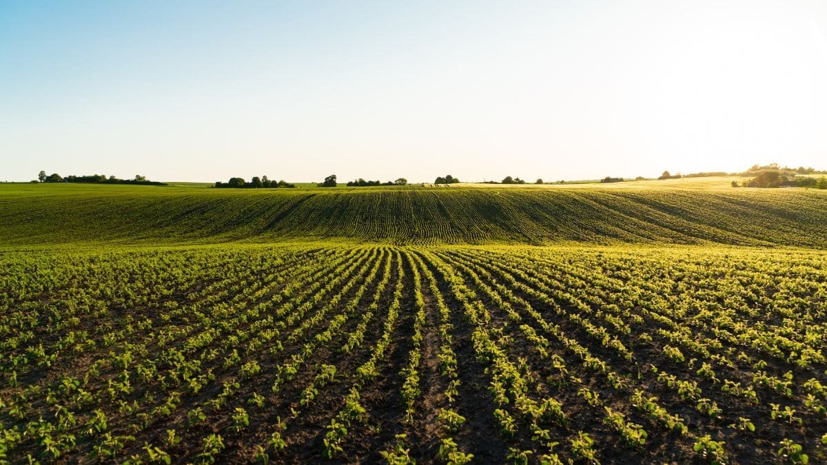 explotacion negocio agricola