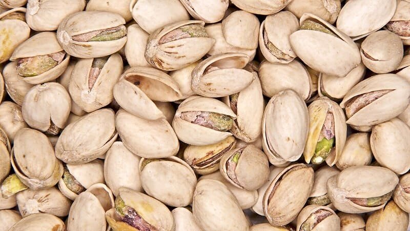 cosecha de pistachos