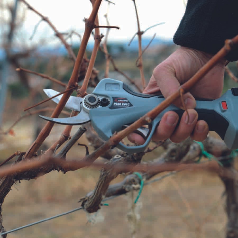 Precio Arvipo Ps32 Vi