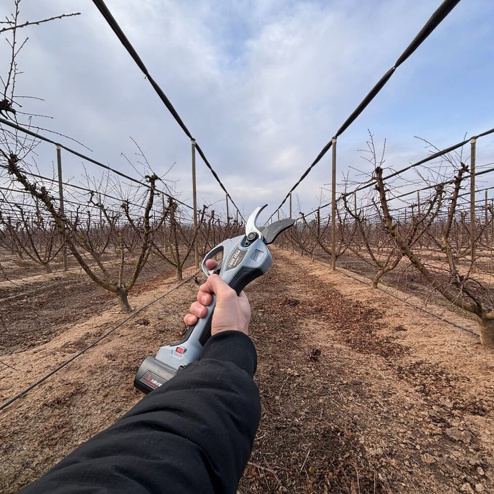 Mejor tijera de podar eléctrica
