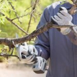 Tijeras a bateria kamikaze kv380