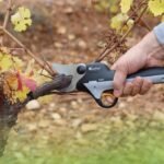 Tijeras podar Kamikaze kv600