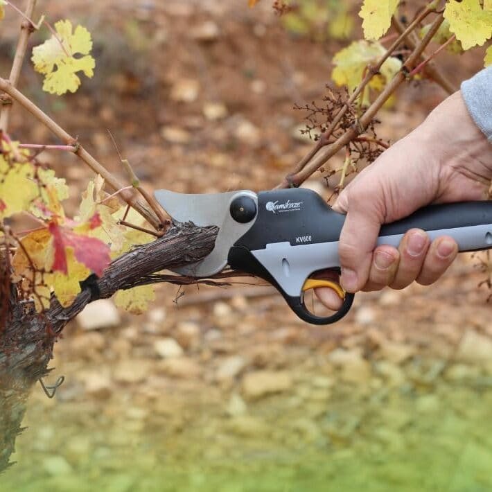 Tijeras podar Kamikaze kv600