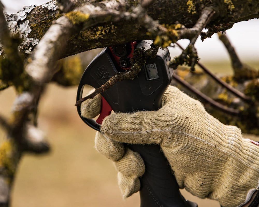 Tijeras de podar electricas zanon zm35