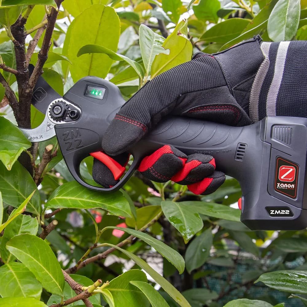 Precios Tijeras Zanon ZM22