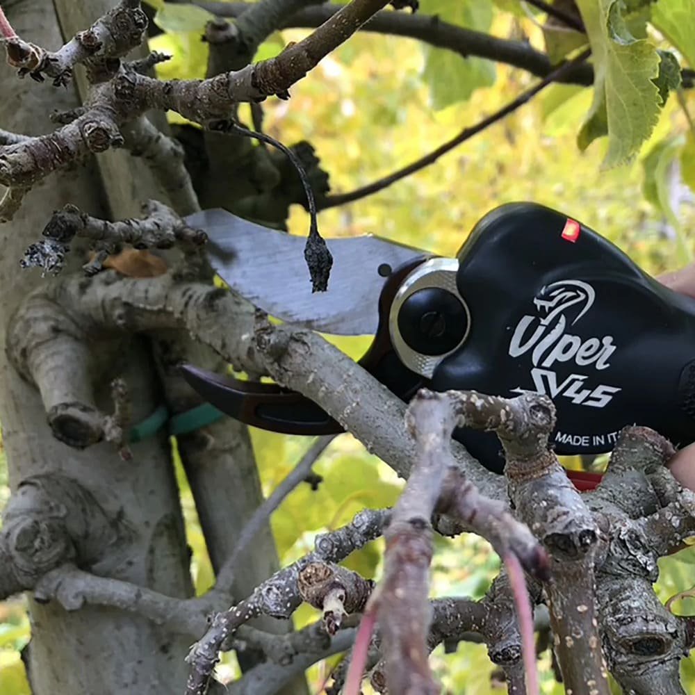 zanon viper 45 precios