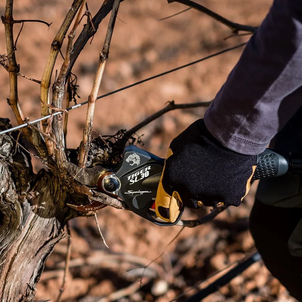 Precio tijeras zanon tiger sl38