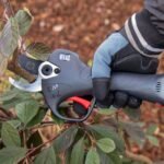 Tijeras de poda zanon zm42