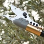 Tijeras-podar-Arvipo-hp37