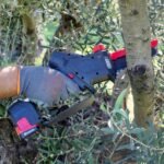 Podadora Zanon ZP120