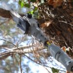 Podadora altura Arvipo HS37 pro (4)