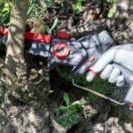 Podadora electrica zanon zp 120