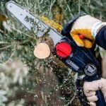 Podadora-zanon-rino2