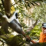 Tijera Pértiga Altuna 2000 (2)