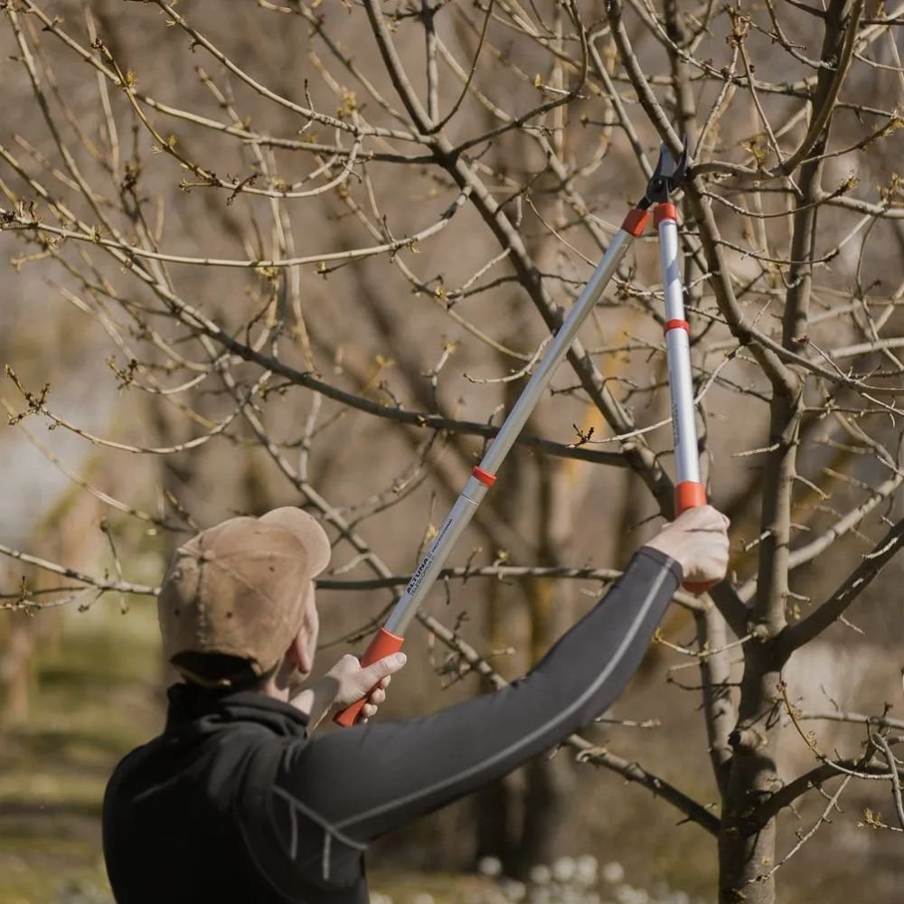 Tijeras de poda Dos manos Altuna 0390T (2)