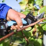 Tijeras de poda eléctricas Campagnola SPEEDY 1