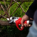 Tijeras de podar Eléctricas Felco 812 hp (1)