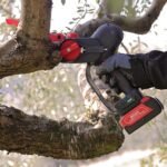 podadora electrica zanon zp185