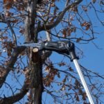 podadora zanon marlin sa 160