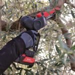 podadora zanon zp185