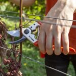 Tijeras de poda Una mano Altuna J480 (1)